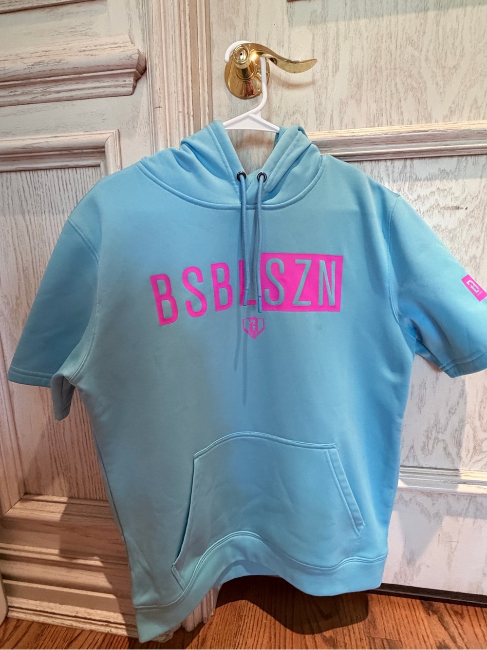 BSBL SZN Short Sleeve Hoodie in Light Blue with Pink Logo